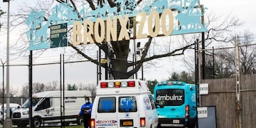 Zoo del Bronx\u002E (REUTERS/Eduardo Munoz)