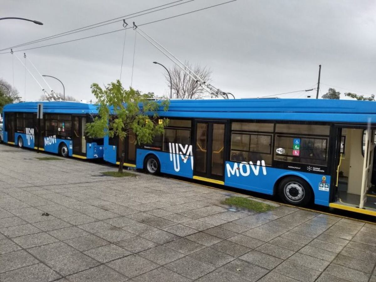 Los vehu00edculos llevan una demora de varias semanas por falta de homologaciu00f3n\u002E