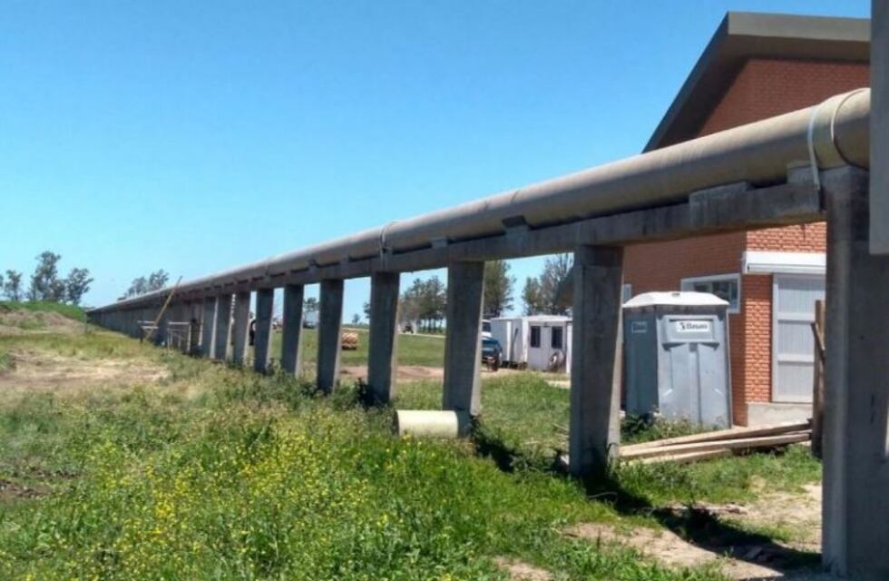 El feto hallado en San Francisco pertenecía a un bebe de 4 meses de gestación