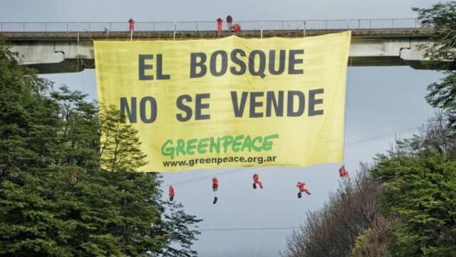 Fuerte rechazo de organizaciones ambientalistas a la nueva ley de Bosques en Neuquén