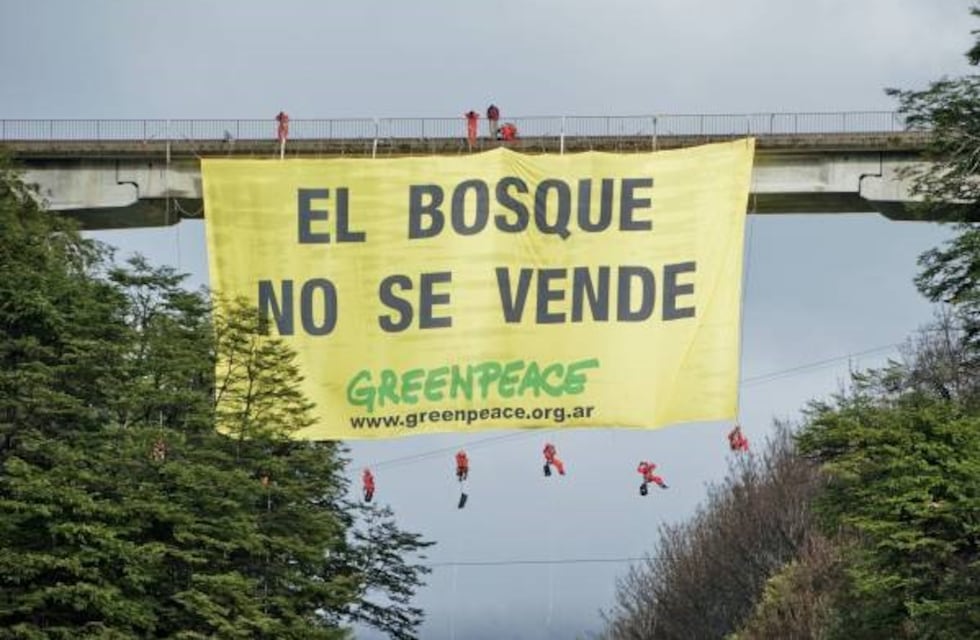 Fuerte rechazo de organizaciones ambientalistas a la nueva ley de Bosques en Neuquén
