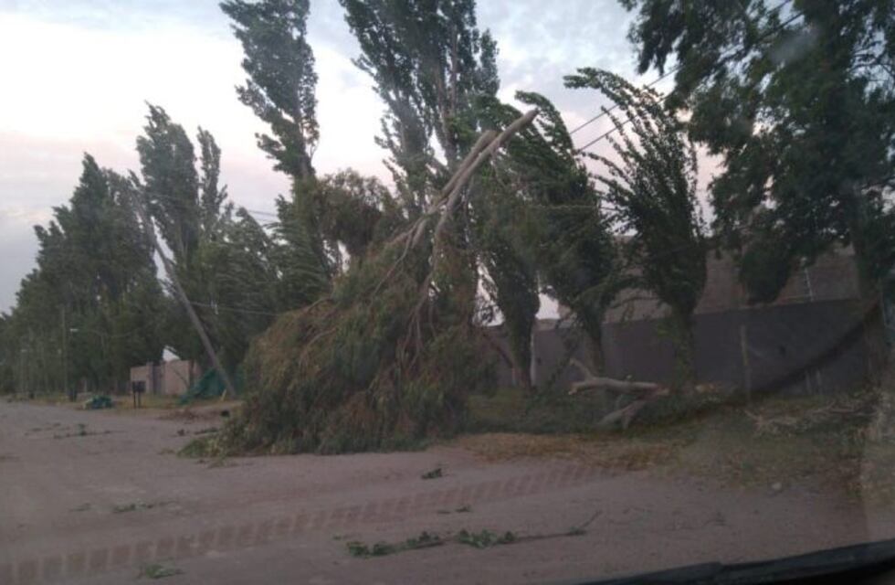 Alerta por viento Zonda y ráfagas de intensidad