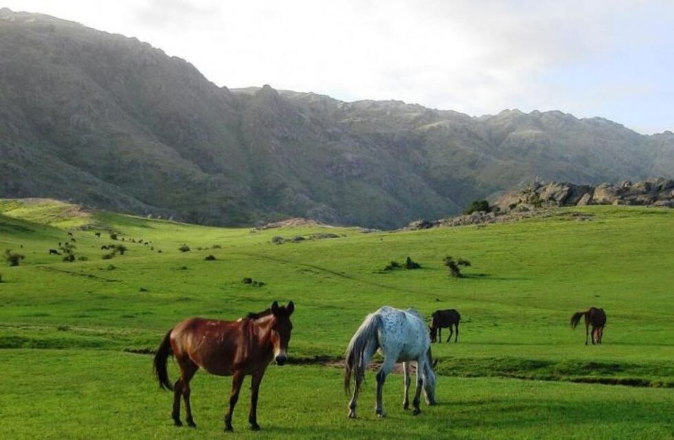 Villa Alpina, un sueño hecho realidad en el Valle de Calamuchita