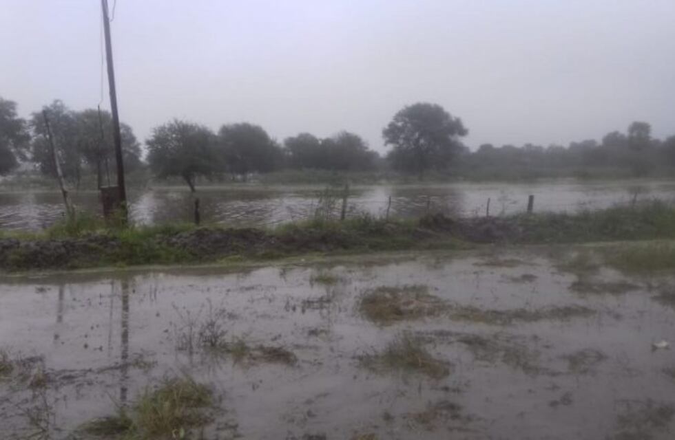 Emergencia Hídrica: 391 evacuados y barrios inundados en el interior