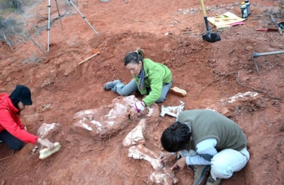 Una mendocina y la revelación de un dinosaurio gigante
