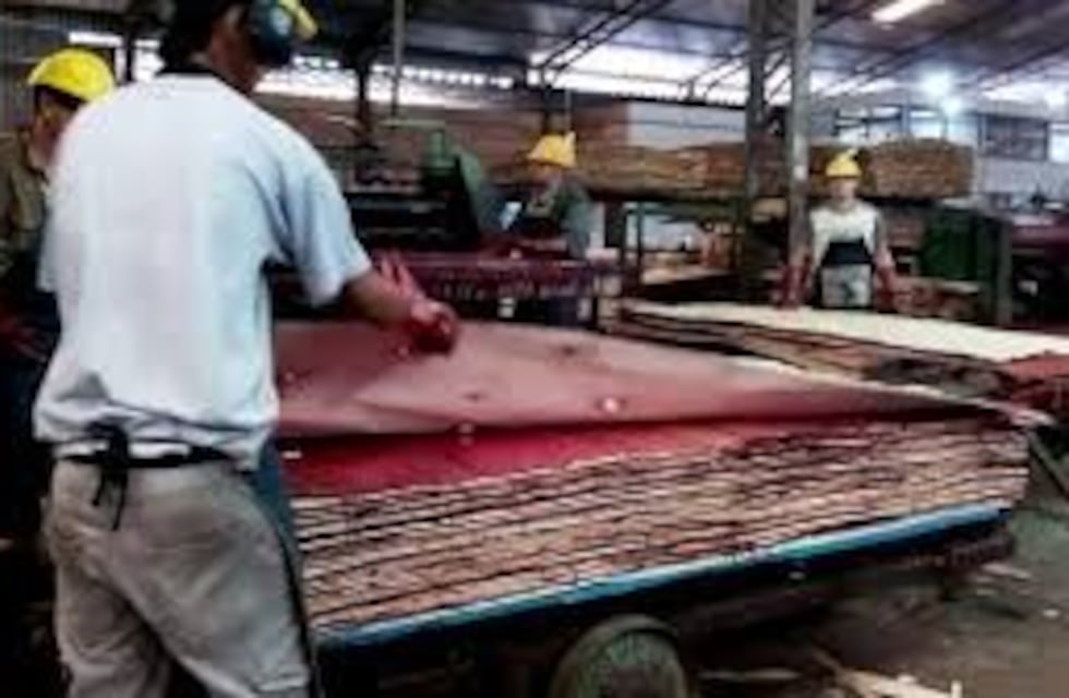 La empresa eldoradense Coama Sud América no trabajará por una semana