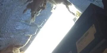 Boqueteros se llevaron zapatillas (Foto: Diario La Capital)