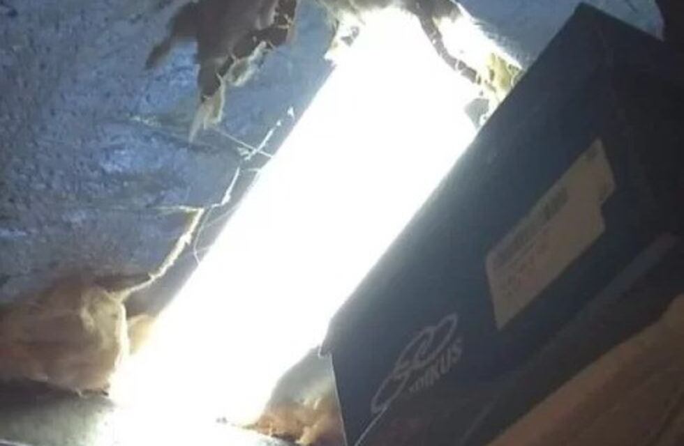 Hicieron un boquete y se llevaron 25 pares de zapatillas
