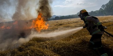 Zonda: publican recomendaciones para evitar incendios forestales