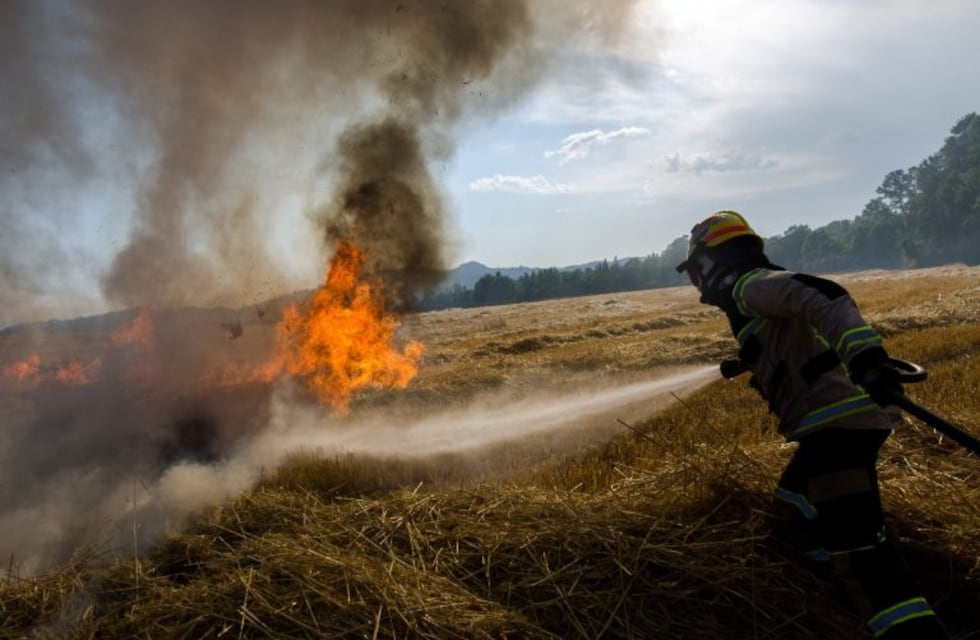 Incendios forestales: Diputados aprobó el proyecto de Ley del Manejo del Fuego
