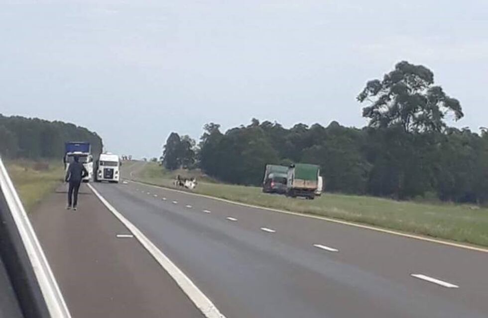 Tres personas perdieron la vida en un siniestro vial en Paso de los Libres