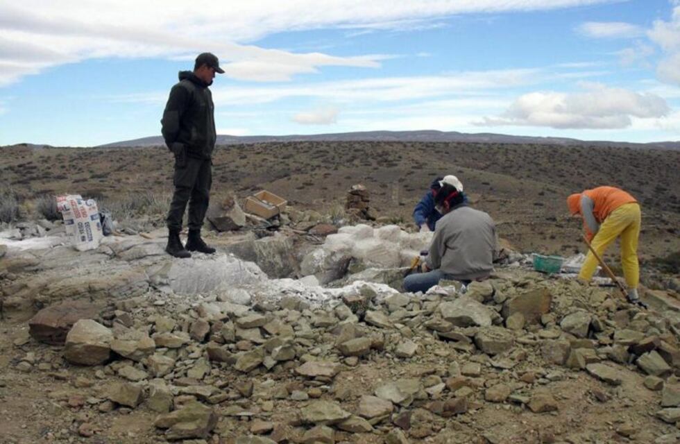 Hallan un dinosaurio herbívoro de 93 millones de años de antigüedad en El Chocón