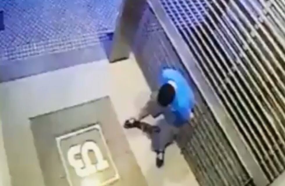 El video del joven que defeca en pleno centro rosarino y se patina es furor en las redes