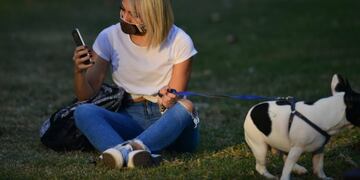 Salir con las mascotas, otra opción que da la flexibilización de la cuarentena\u002E