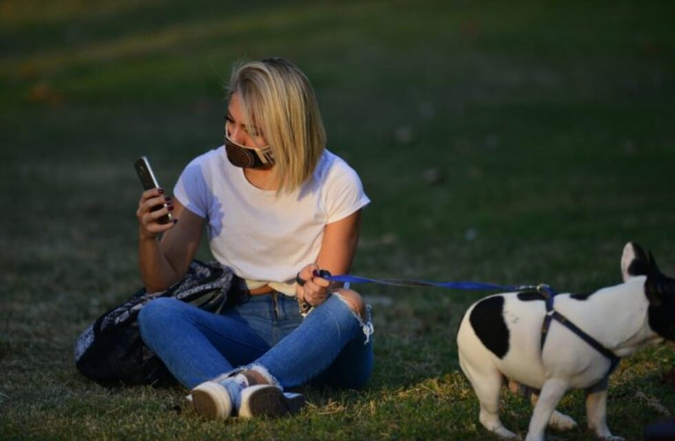 La Ciudad de Buenos Aires convoca a voluntarios para cuidar las mascotas de pacientes con Coronavirus que viven solos