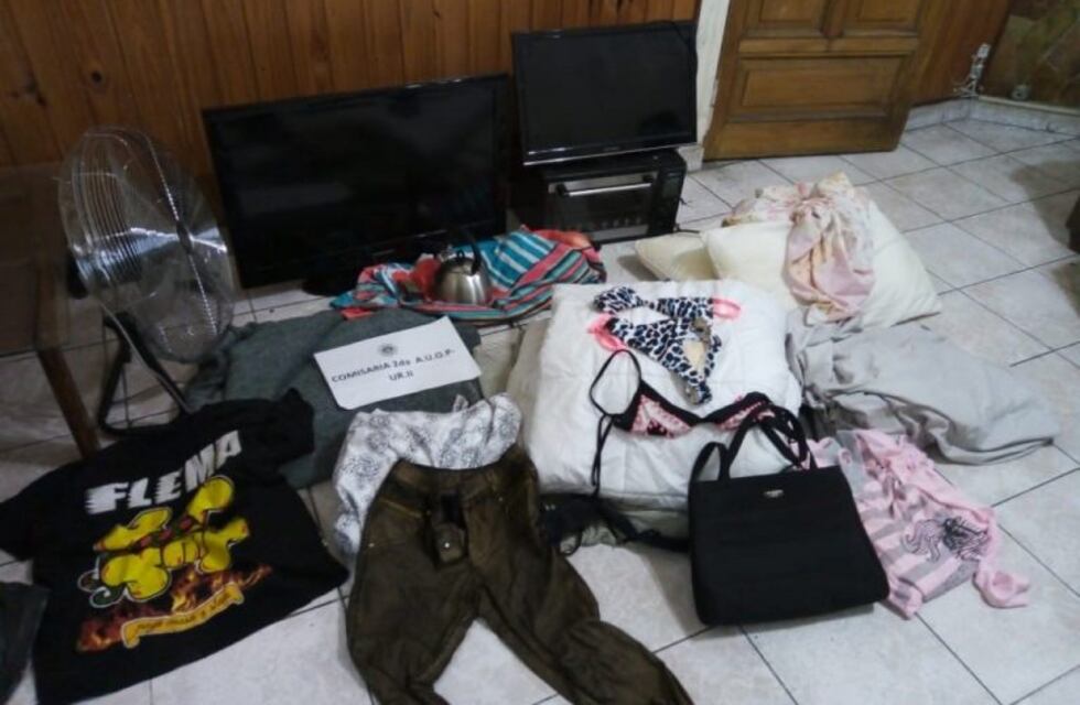 Desvalijan varios departamentos céntricos y detienen a un portero