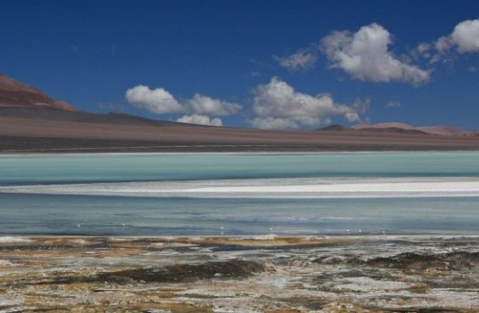 Laguna Brava con mayor afluencia de turistas este verano