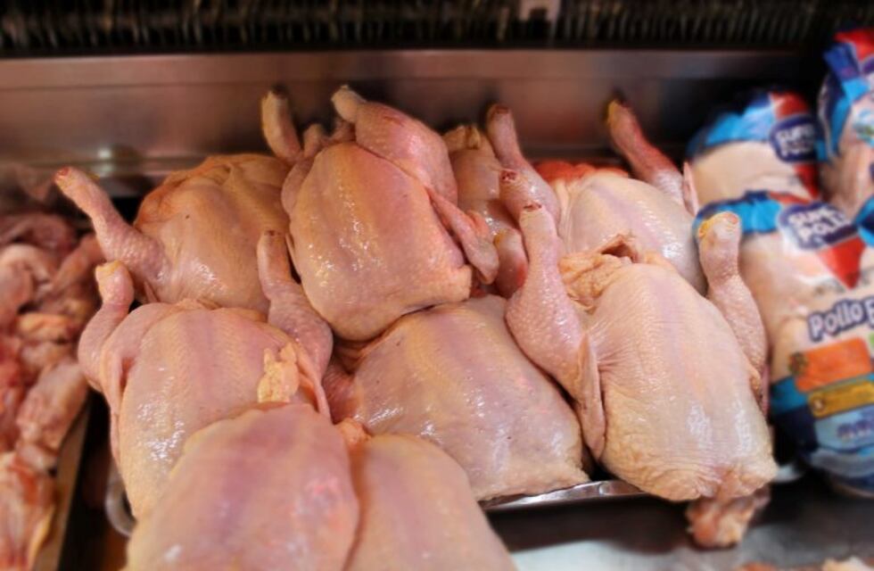 Ni los menudos dejaron: delincuentes se llevaron 50 kilos de pollo de una brasería