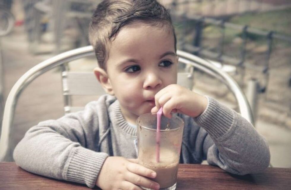 ¡Insólito! En EE.UU. creen que la chocolatada viene de vacas marrones