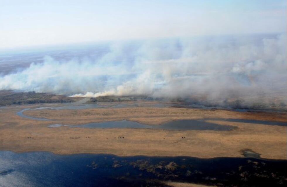 Ecologistas reiteran pedido de intervención a la Nación por incendios en las islas