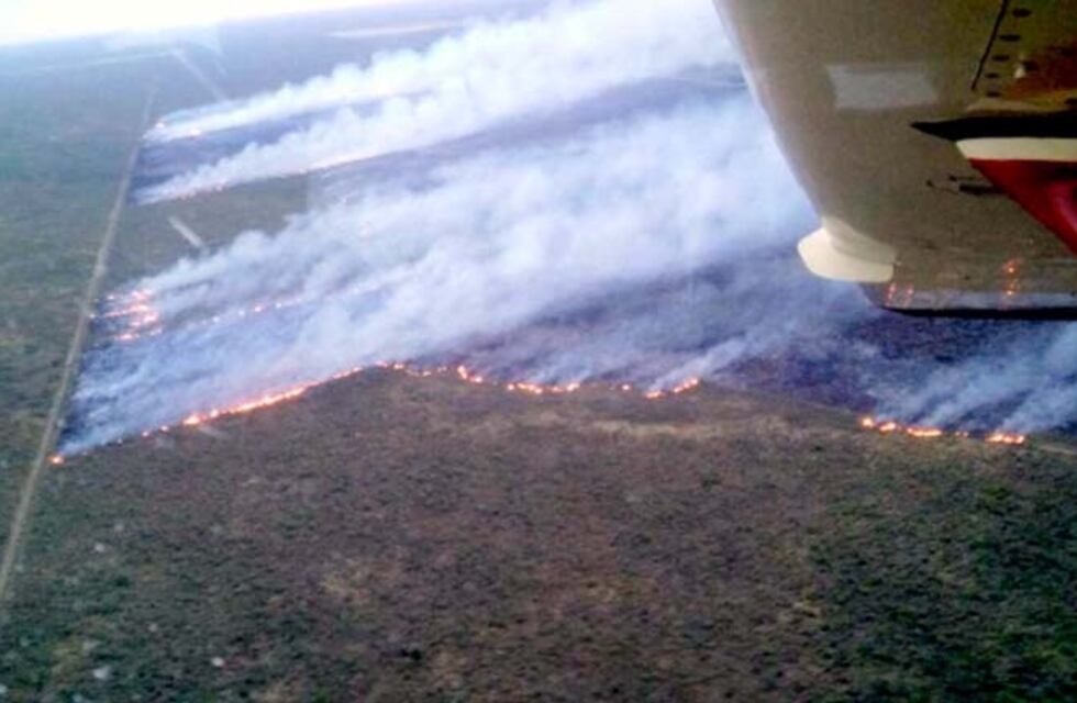 Por las altas temperaturas, se quemaron más de 4.000 hectáreas en General Alvear
