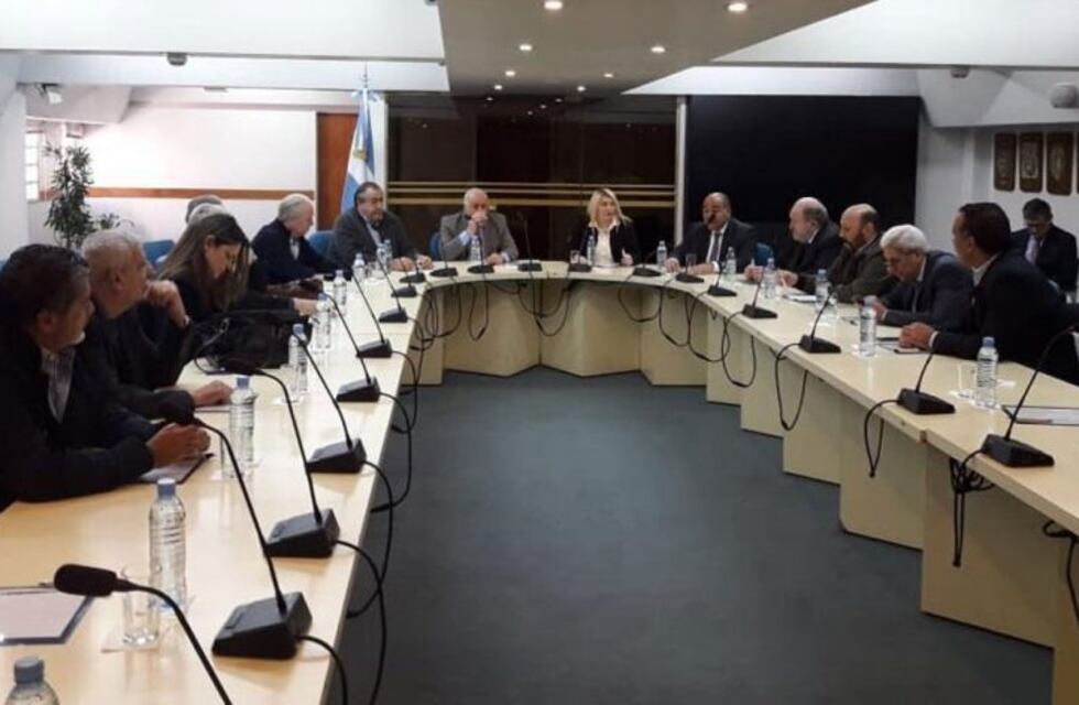 Bertone se reunió con gobernadores y sindicatos para defender el Fondo Federal Solidario