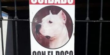 Roco, el perro guardián de una familia sanjuanina\u002E