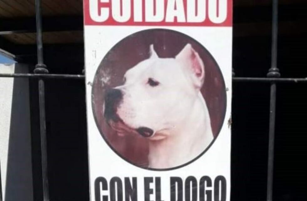 Entró a robar a una casa y un dogo lo echó a mordiscos