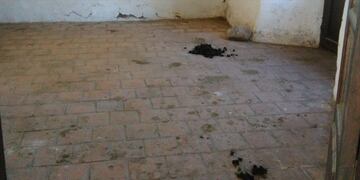 Fuerte de Cobos (El Tribuno)