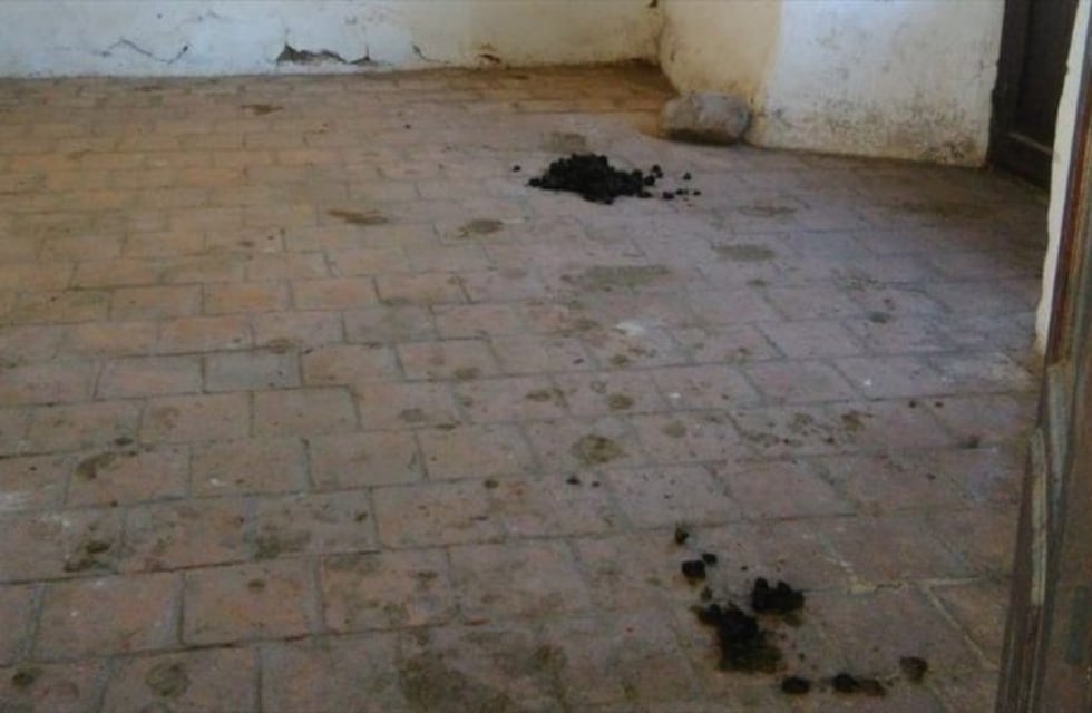 Un Monumento Histórico Nacional está abandonado y en mal estado