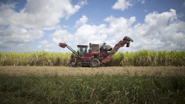 Crece la industra sucroalcoholera en la región.