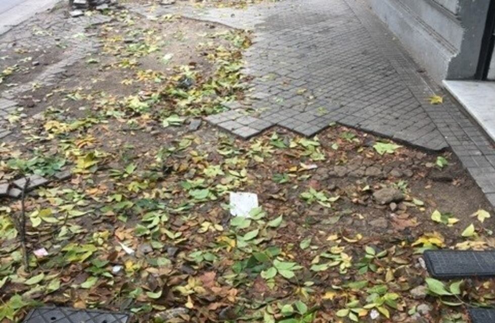 Advierten sobre el estado de las veredas en un sector céntrico