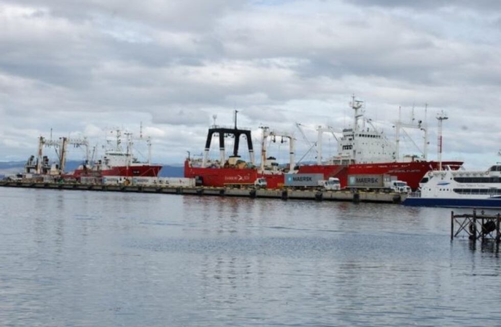 El calentamiento global puede afectar la presencia de merluza negra en el Canal Beagle