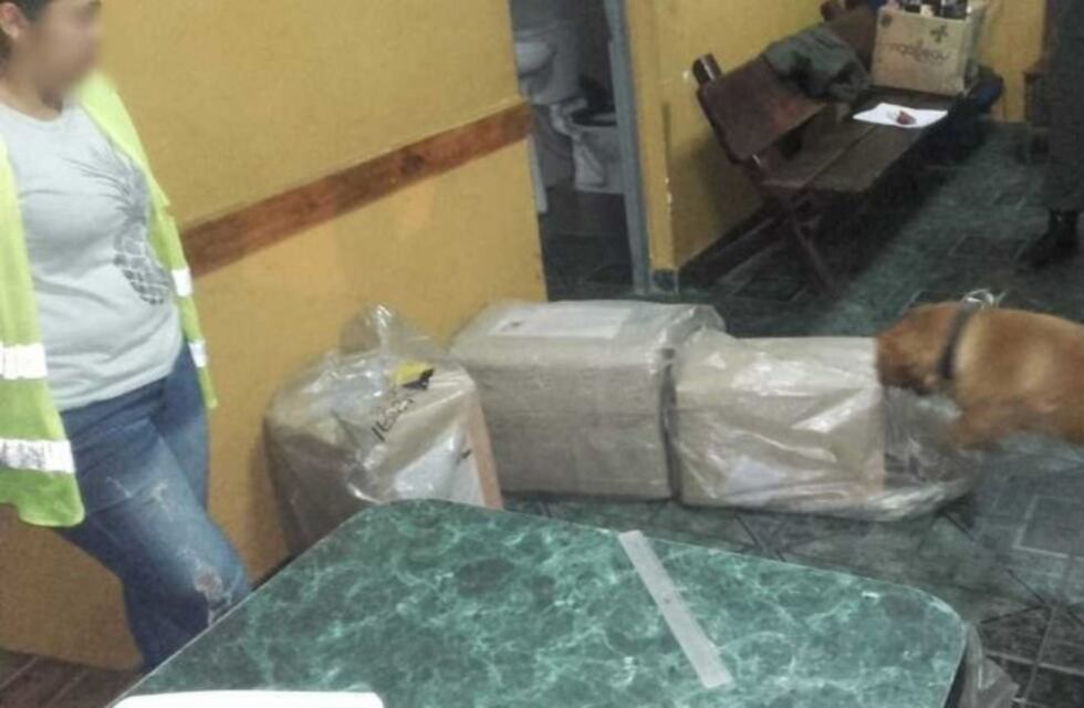 Un perro detectó 21 kilos de cocaína que eran traídos a Córdoba