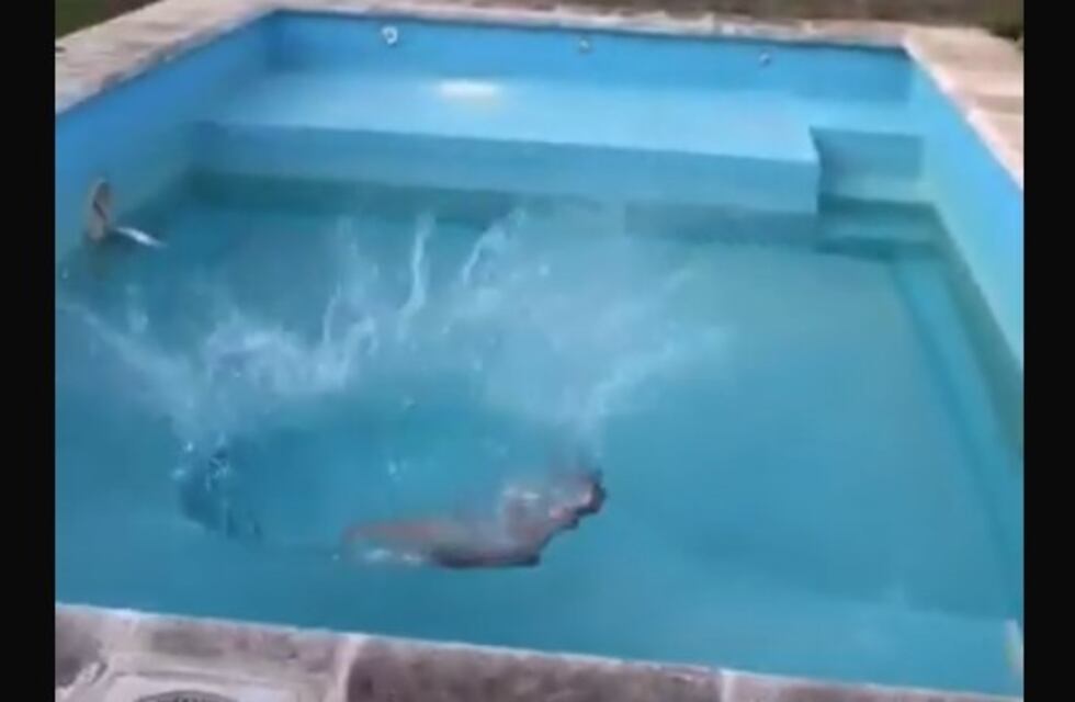 Viral: se burlaron del dueño de Etiqueta Negra tirando un costillar a la pileta