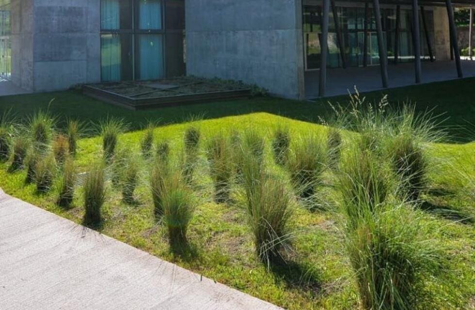 Salsipuedes: Orfeo Suites cierra sus puertas