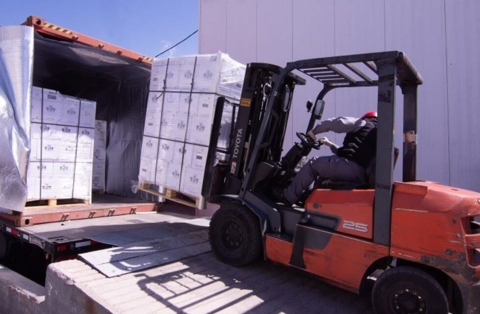 Crecieron en volumen las exportaciones de Mendoza