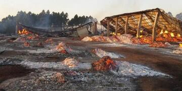 El incendio afectó la planta ubicada sobre la ruta 12 a la altura del kilómetro 1521, el pasado viernes\u002E