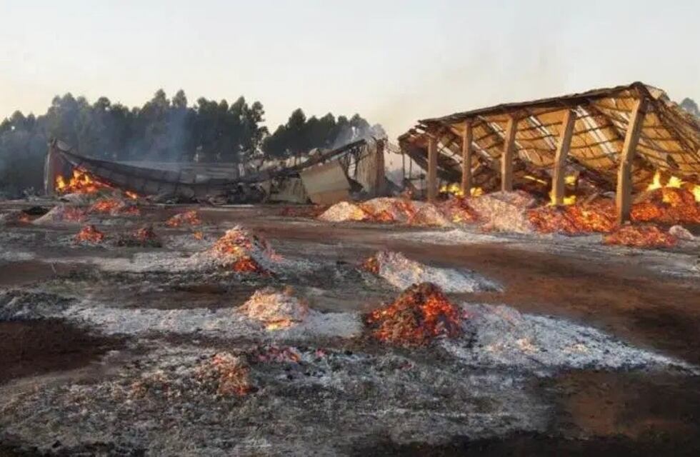 El incendio en la maderera de Montecarlo generó pérdidas por 10 millones de dólares
