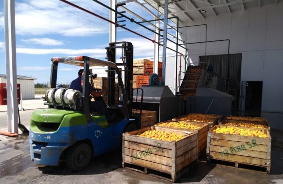 La pulpera garantiza la calidad en toda la cadena de producción