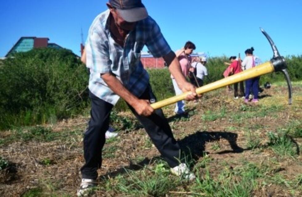 Lanzaron el programa "Trabajo por San Luis"