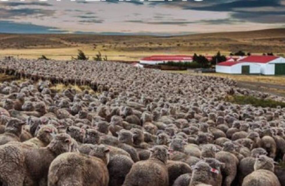 Gobierno realizará jornadas de asociativismo agropecuario