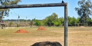 Club Colegiales de Concordia