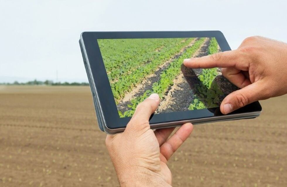 Buscan conocer la realidad del campo en Mendoza