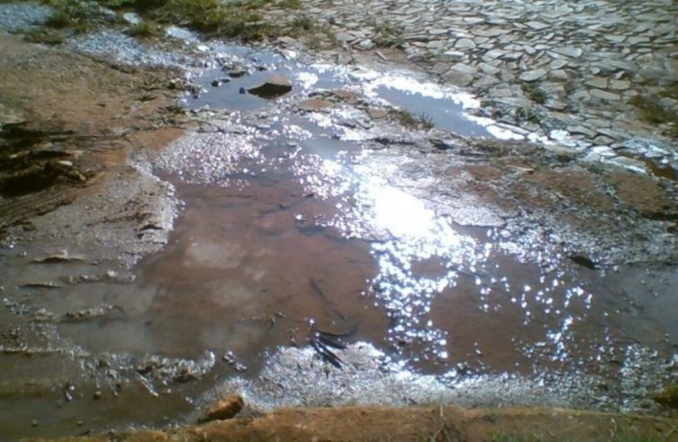 Vecinos del B° 20 viviendas se quejan de pérdidas de agua