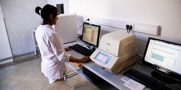 Desde el INE presentaron una herramienta que permite predecir el COVID-19 (Foto: Prensa MGP)