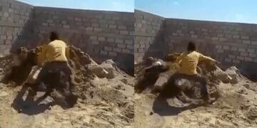 Albañiles le hicieron una broma pesada a un compañero y se viralizó el video