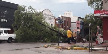 Violentas ráfagas voltearon árboles y provocaron daños\u002E