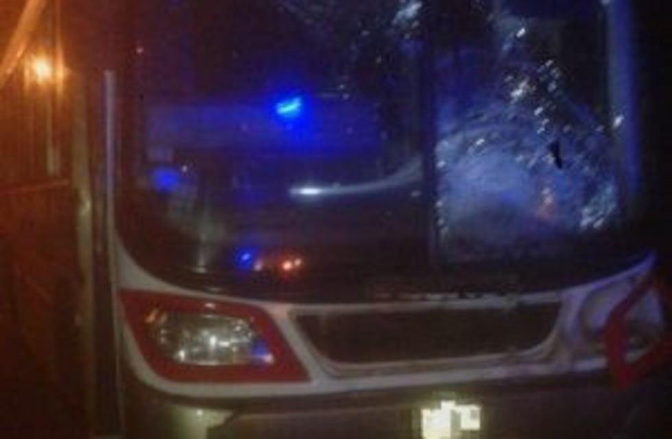 Accidente fatal en la ruta 14: un ómnibus atropelló a un anciano
