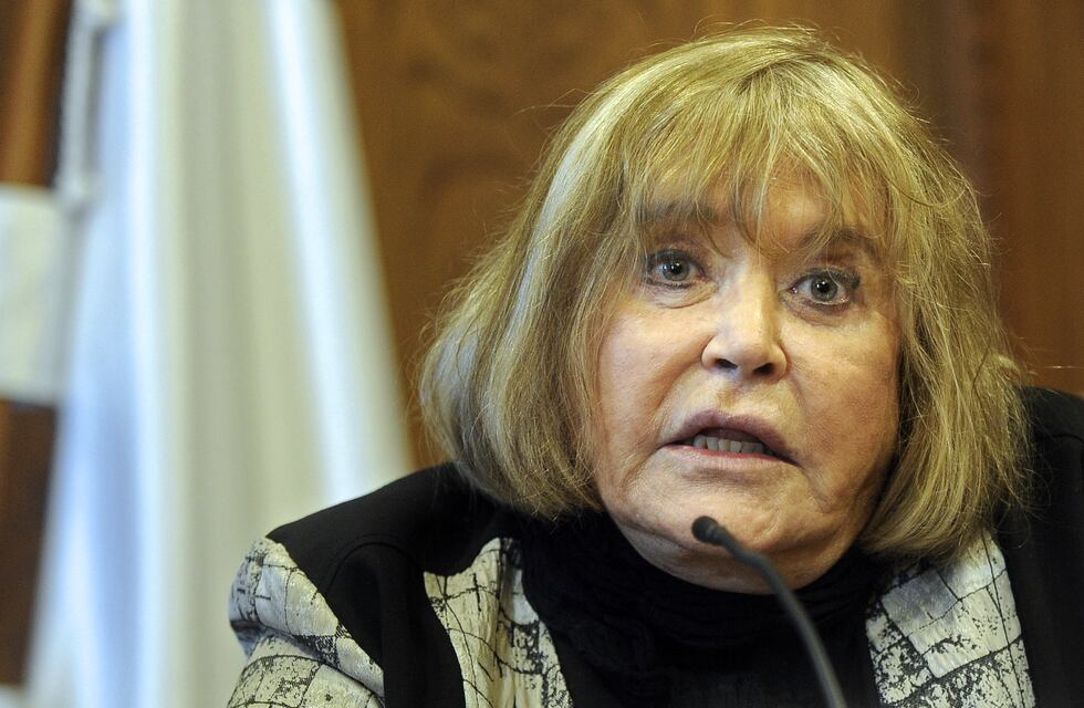 El oficialismo apeló el fallo de Servini que frenó los aportes del Estado para la campaña